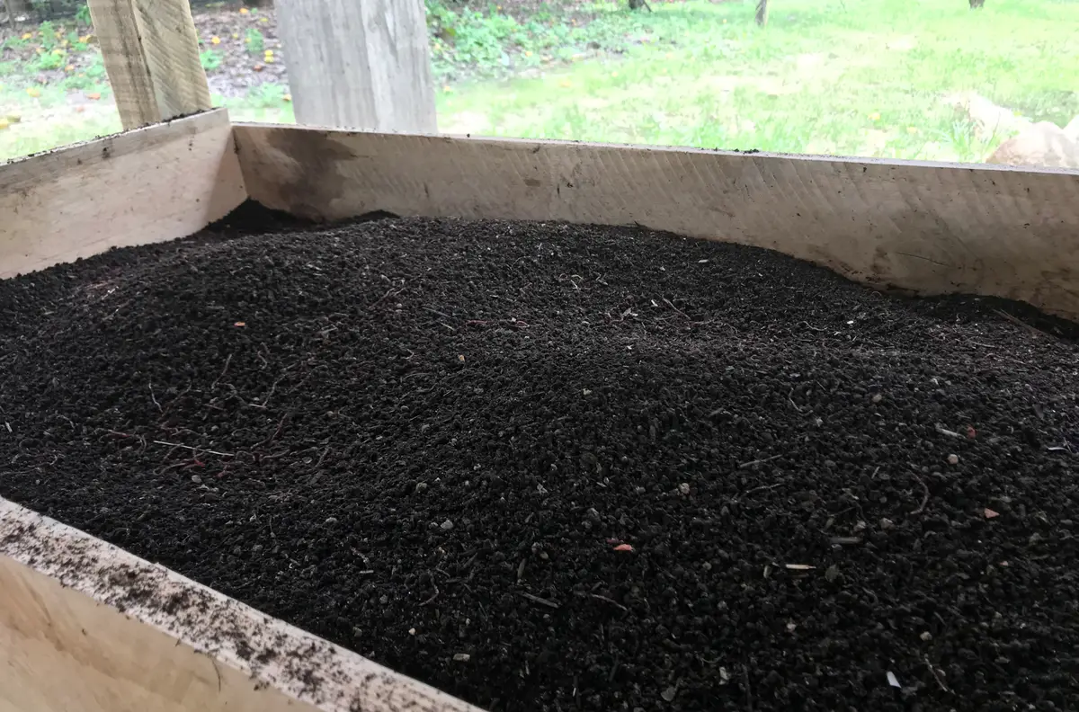Vermicompost